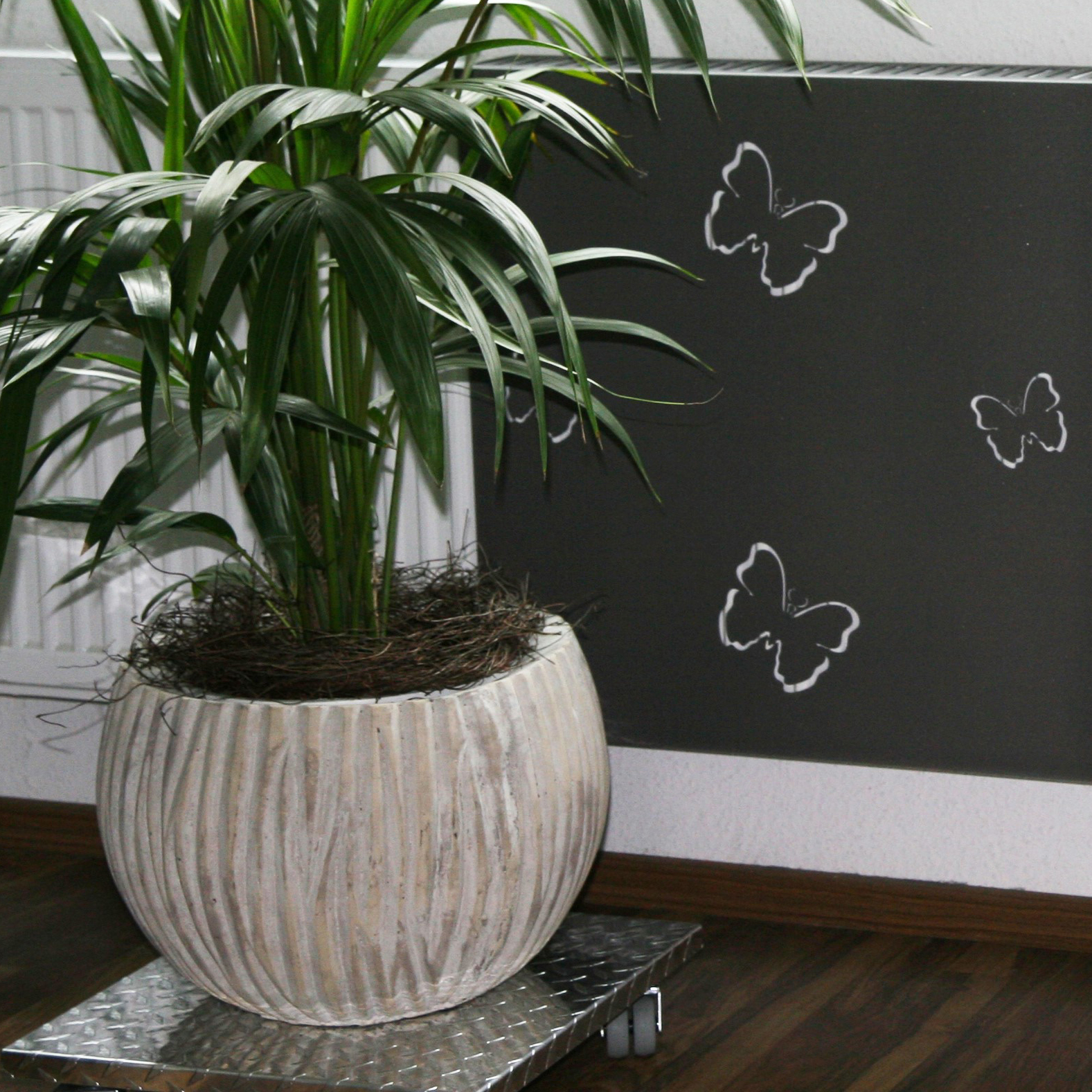 Heizkörperverkleidung 60 x 60cm Butterfly anthrazit 1 Stück SZAGATO Heizungsverkleidung Verkleidung Heizkörper Abdeckung Heizkörper Heizungsabdeckung