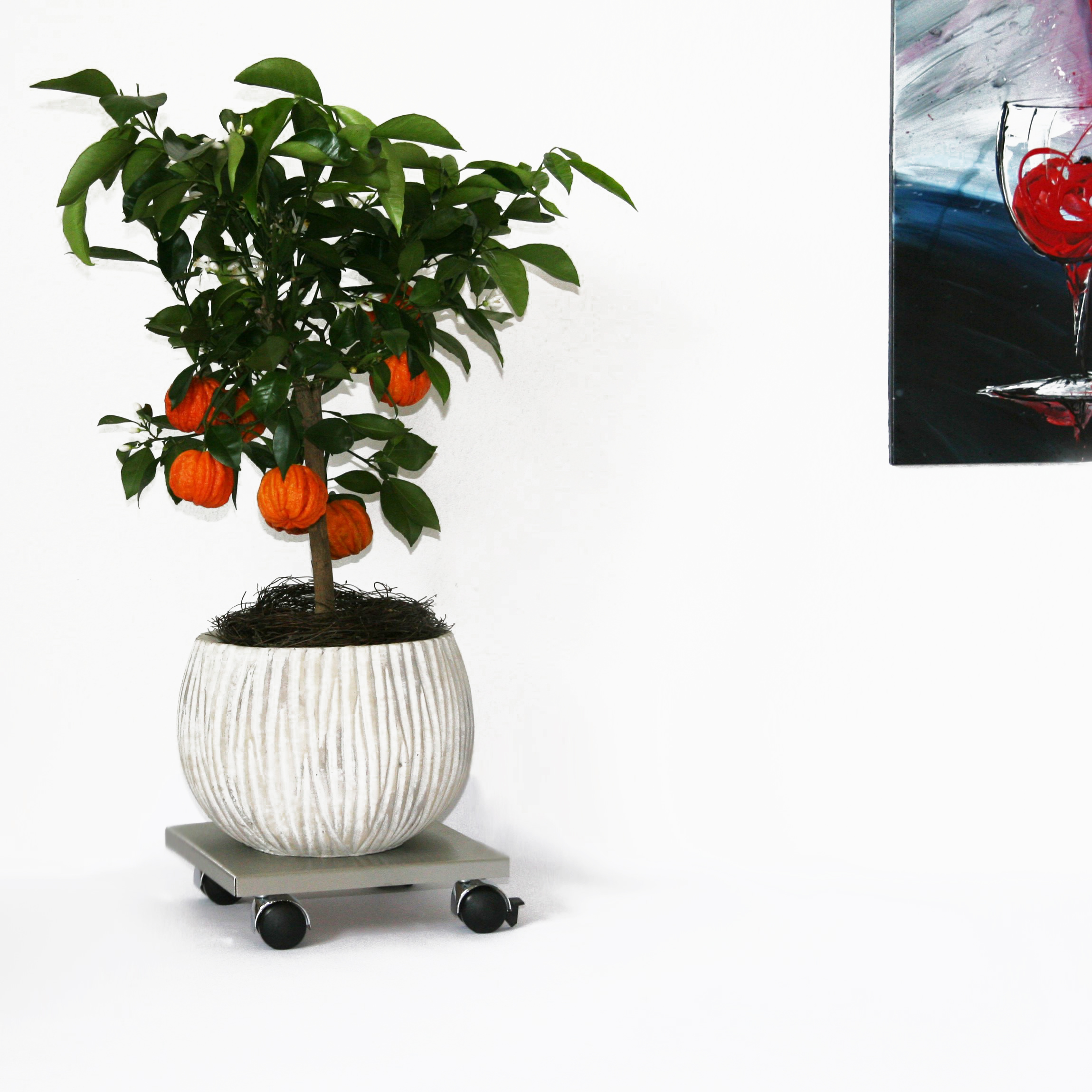 Rollbrett Pflanzenroller 30x30cm Edelstahl 120kg Chromrollen + Bremse SZAGATO Made in Germany Blumenuntersetzer Möbelroller Outdoor Blumenroller